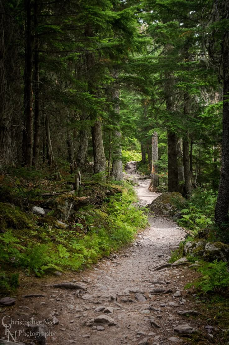 Nemba Cultural Trail